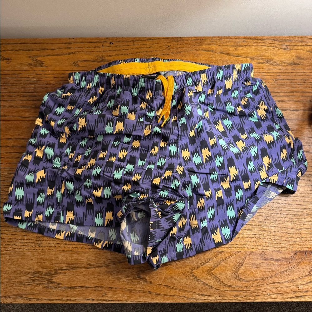 Patagonia Women’s Shorts